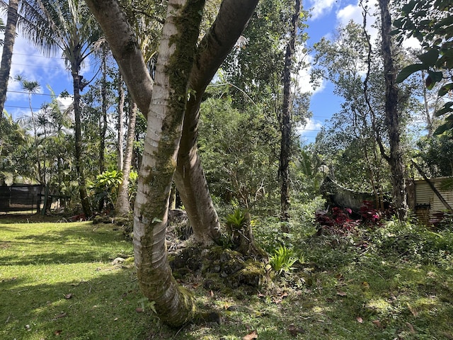 Aloha Rd, Pahoa, HI 96778