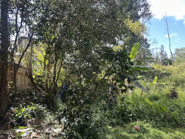 Aloha Rd, Pahoa, HI 96778