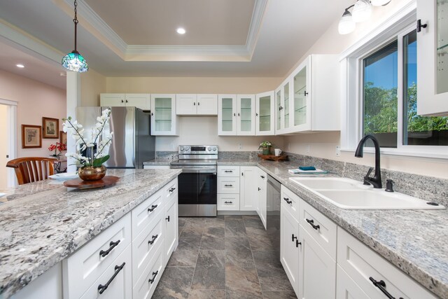 68-3635 Haena St, Waikoloa, HI 96738 - kitchen with stainless steel appliances, a sink, a tray ceiling, ornamental molding, and recessed lighting