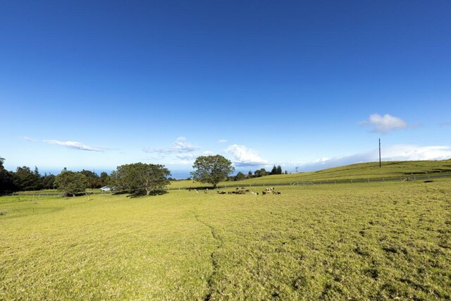 67-1009 Keamuku Rd, Kamuela, HI 96743 - photo 22