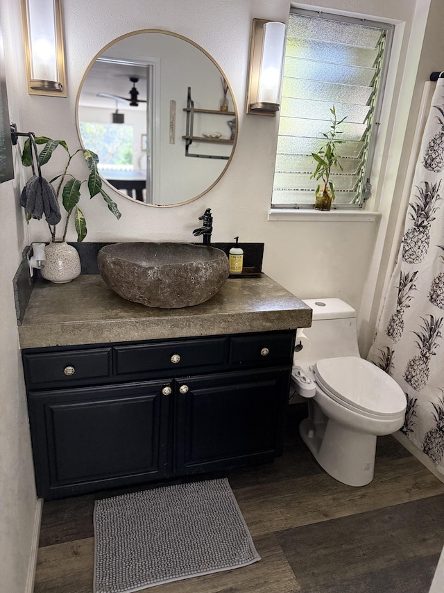 4194 Kekuanaoa Ln, Princeville, HI 96722 - bathroom with wood finished floors, vanity, and toilet