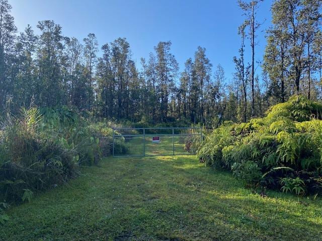 16-1023 Ale Rd, Mountain View, HI 96760 - photo 17