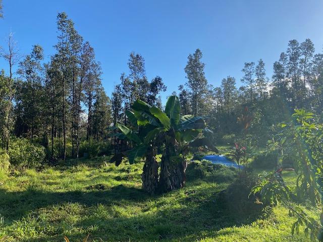 16-1023 Ale Rd, Mountain View, HI 96760 - photo 18