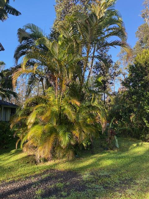 16-1023 Ale Rd, Mountain View, HI 96760 - photo 19