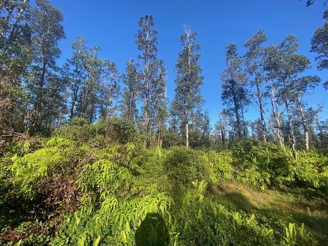 16-1023 Ale Rd, Mountain View, HI 96760 - photo 20