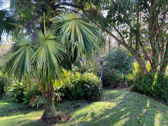 16-1023 Ale Rd, Mountain View, HI 96760 - photo 21