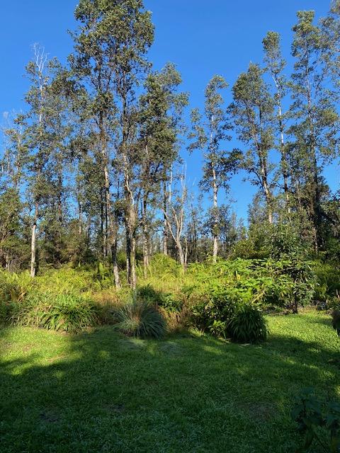 16-1023 Ale Rd, Mountain View, HI 96760 - photo 22