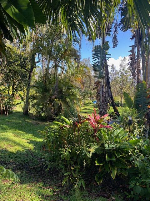 16-1023 Ale Rd, Mountain View, HI 96760 - photo 15