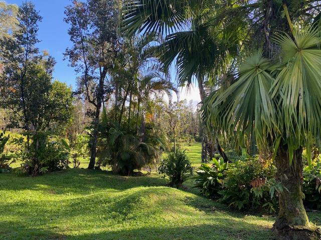 16-1023 Ale Rd, Mountain View, HI 96760 - photo 24