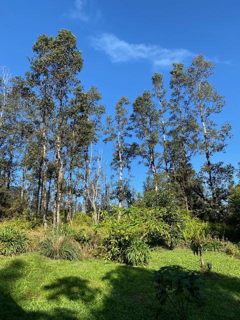 16-1023 Ale Rd, Mountain View, HI 96760 - photo 25