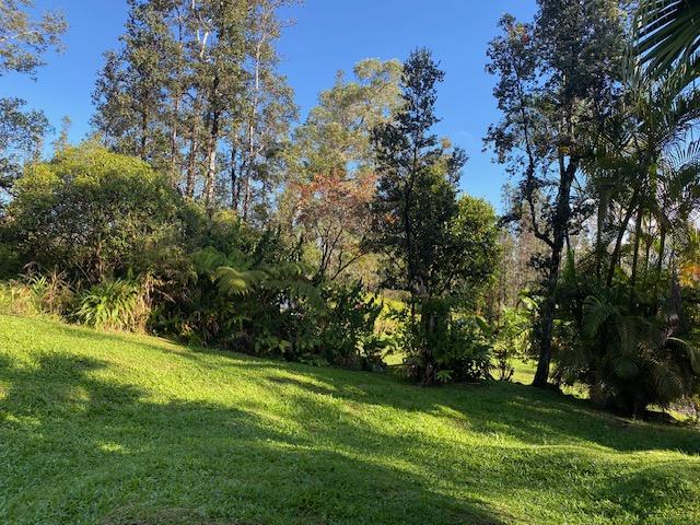 16-1023 Ale Rd, Mountain View, HI 96760 - photo 26