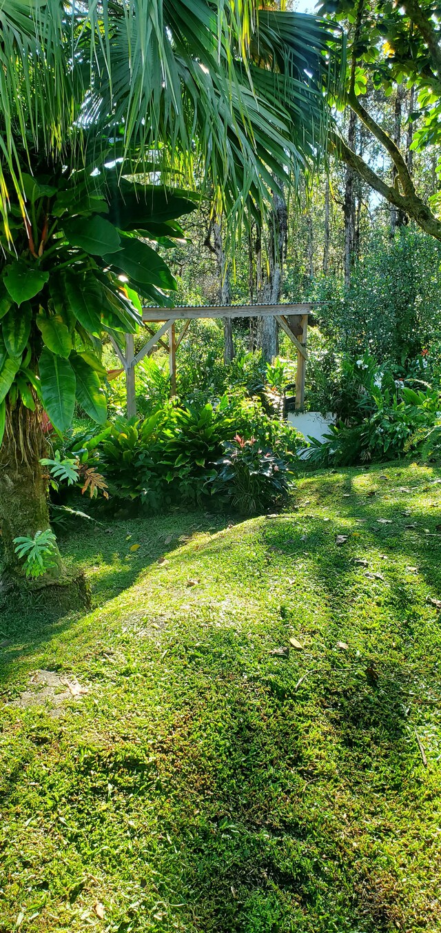 16-1023 Ale Rd, Mountain View, HI 96760 - photo 27