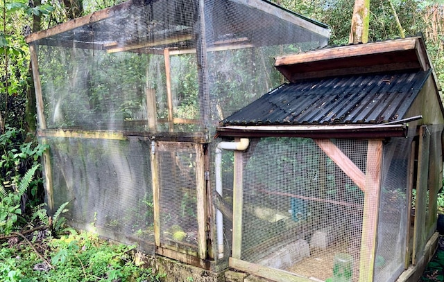 16-1412 40th Ave, Kurtistown, HI 96760 - view of poultry coop