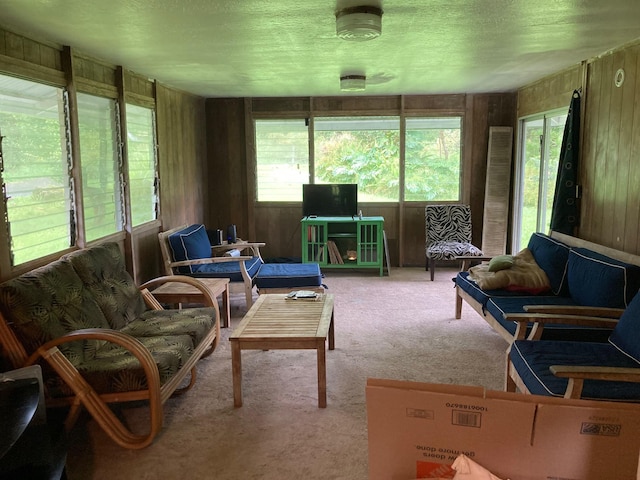 13-3515 Pahoa Kalapana Rd, Pahoa, HI 96778 - sunroom featuring carpet floors, wooden walls, and a textured ceiling