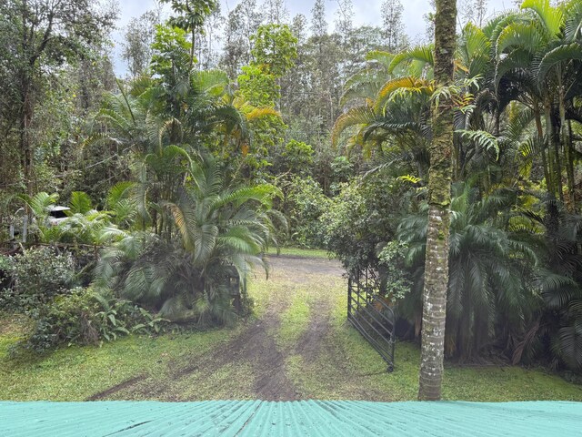 14-3423 Pahoa Rd, Pahoa, HI 96778 - photo 11