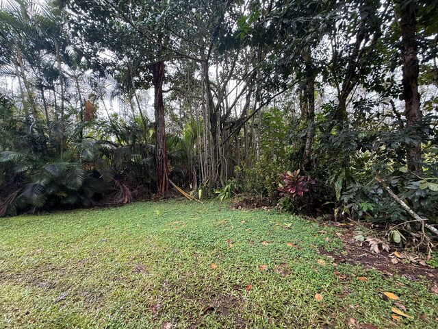 14-3423 Pahoa Rd, Pahoa, HI 96778 - photo 22