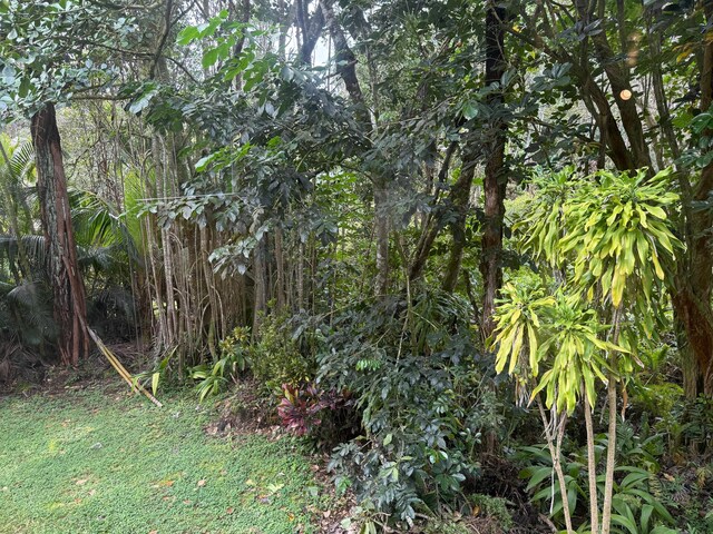 14-3423 Pahoa Rd, Pahoa, HI 96778 - photo 23