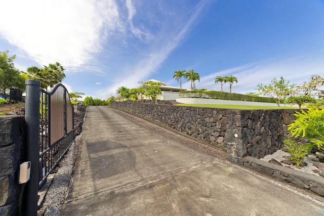 17-250 Meaulu St, Keaau, HI 96749 - view of community