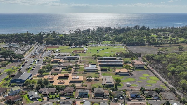 9442 Keahi Pl, Waimea, HI 96796 - photo 23