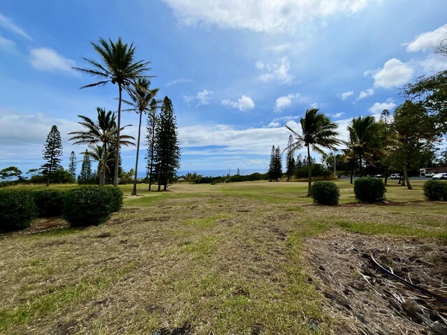 94-1691 Kaulua St, Naalehu, HI 96772