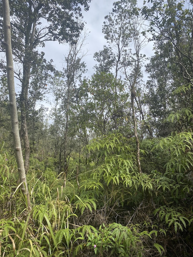 12-4344 Hilo St, Pahoa, HI 96778