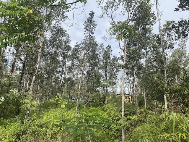12-4344 Hilo St, Pahoa, HI 96778