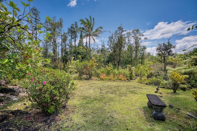 15-1429 23rd Ave, Keaau, HI 96749 - view of green lawn