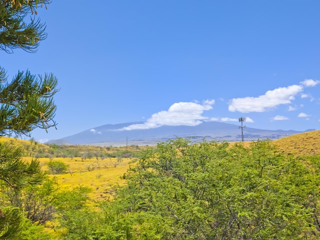 68-3907 Paniolo Ave Unit 1006, Waikoloa, HI 96738 - photo 19