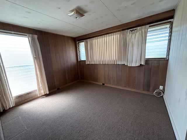 273 Iwalani St, Hilo, HI 96720 - unfurnished room featuring wooden walls, carpet floors, and baseboards