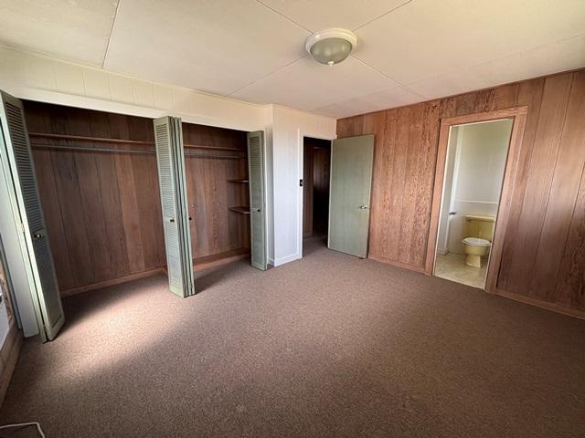 273 Iwalani St, Hilo, HI 96720 - unfurnished bedroom featuring wood walls, carpet flooring, and ensuite bathroom