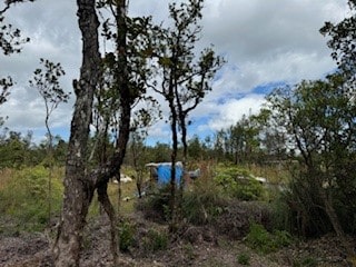 11-3214 Laupaka Rd, Volcano, HI 96785