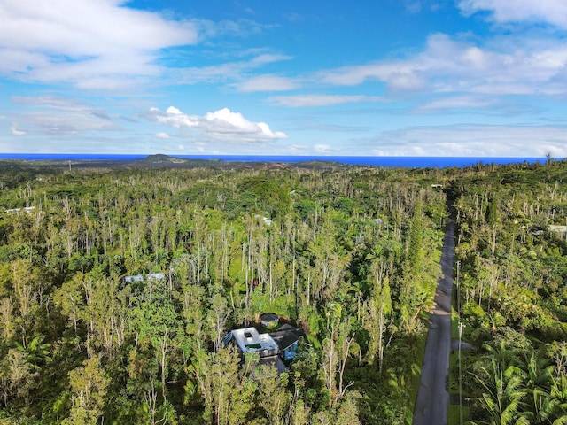 13-1128 Malama St, Pahoa, HI 96778 - bird's eye view of a forest