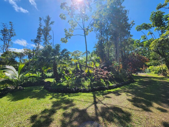 13-1128 Malama St, Pahoa, HI 96778 - view of grassy yard