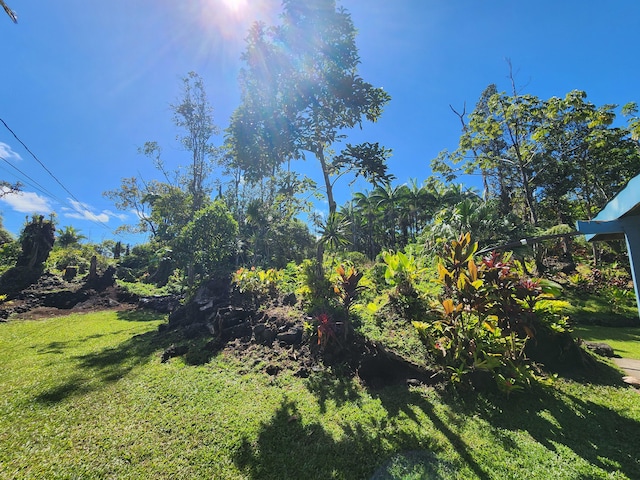 13-1128 Malama St, Pahoa, HI 96778 - view of green lawn