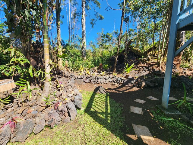 13-1128 Malama St, Pahoa, HI 96778 - view of yard
