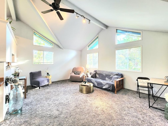 13-1128 Malama St, Pahoa, HI 96778 - living area with beam ceiling, carpet flooring, a ceiling fan, and high vaulted ceiling