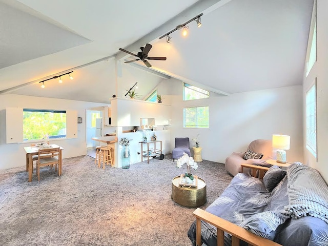 13-1128 Malama St, Pahoa, HI 96778 - living area with track lighting, carpet, healthy amount of natural light, and ceiling fan