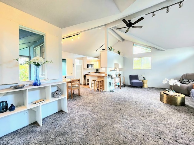 13-1128 Malama St, Pahoa, HI 96778 - living room with track lighting, ceiling fan, and carpet floors