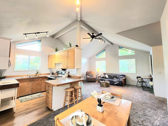 13-1128 Malama St, Pahoa, HI 96778 - kitchen featuring track lighting, white gas range oven, a peninsula, open floor plan, and a sink