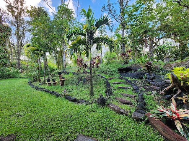13-1128 Malama St, Pahoa, HI 96778 - view of grassy yard