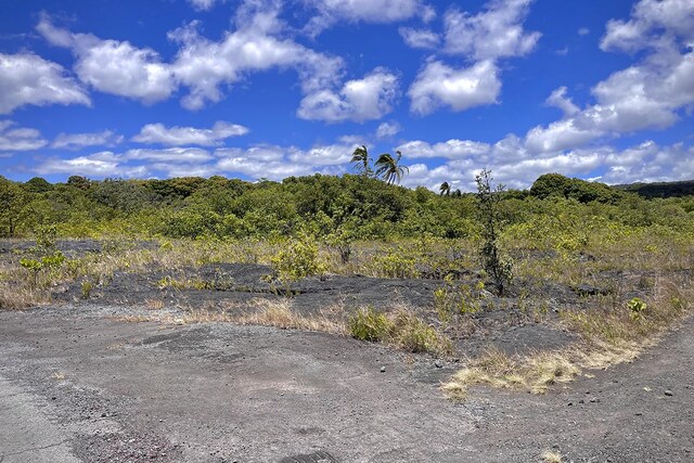 12-4786 Kaimu Chain Of Craters Rd, Pahoa, HI 96778 - photo 9