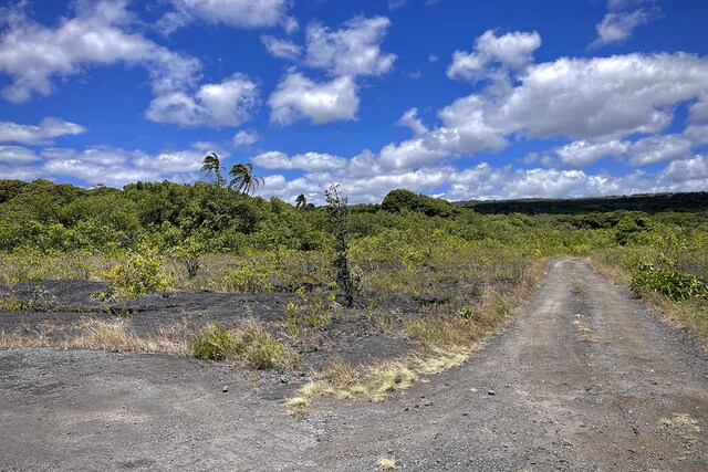 12-4786 Kaimu Chain Of Craters Rd, Pahoa, HI 96778 - photo 10