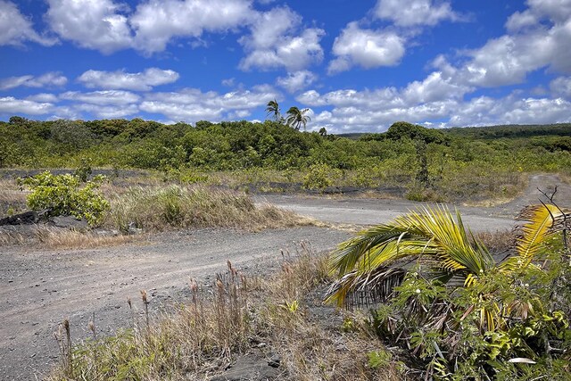 12-4786 Kaimu Chain Of Craters Rd, Pahoa, HI 96778 - photo 11