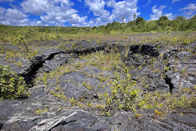 12-4786 Kaimu Chain Of Craters Rd, Pahoa, HI 96778 - photo 15