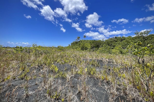 12-4786 Kaimu Chain Of Craters Rd, Pahoa, HI 96778 - photo 17