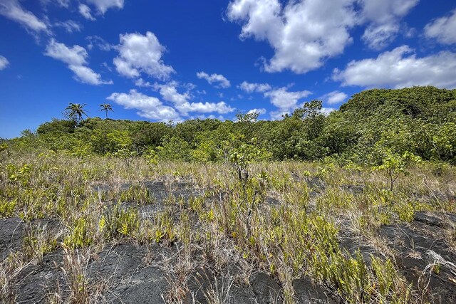 12-4786 Kaimu Chain Of Craters Rd, Pahoa, HI 96778 - photo 18