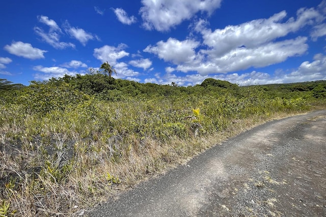 12-4786 Kaimu Chain Of Craters Rd, Pahoa, HI 96778 - photo 19