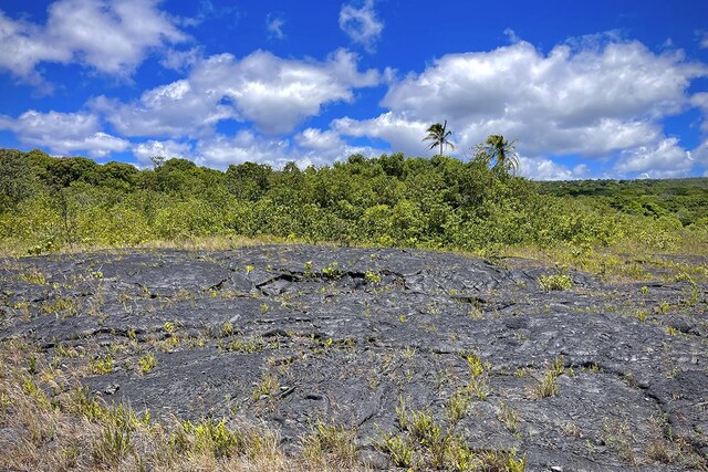 12-4786 Kaimu Chain Of Craters Rd, Pahoa, HI 96778 - photo 24