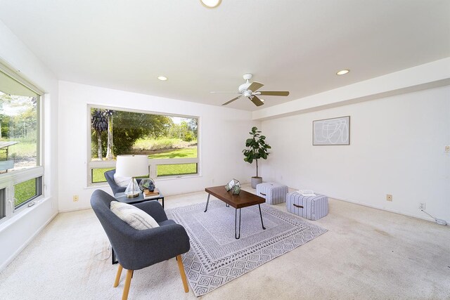 17-641 Ala Loop, Kurtistown, HI 96760 - photo 6