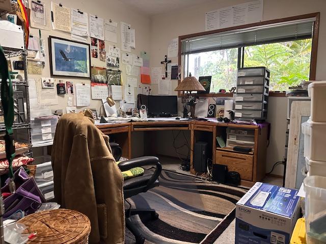 1379 Mele Manu St, Hilo, HI 96720 - view of home office